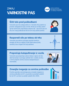 Varnostni pas (4)