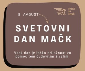 svetovni dan mačk(1) (002)